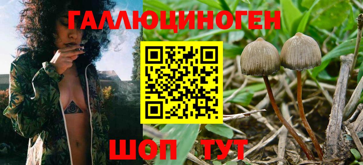 Галлюциногенные грибы ЛСД  Вход с VPN  купить  сайты  Галлюциногенные грибы MAGIC MUSHROOMS  Ирбит 